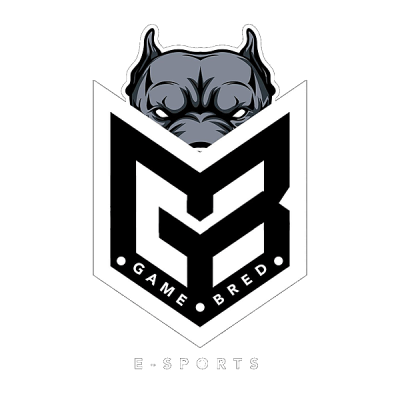 Команда Gamebred Esports. Состав Dota 2
