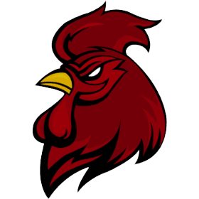 Drużyna Gamecock Esports. Skład Overwatch