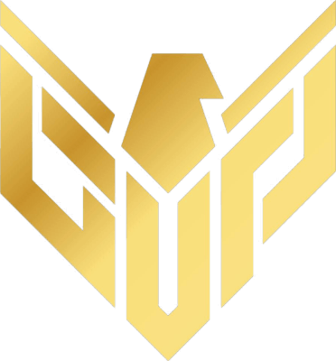 Gaming Up FEM, склад з Valorant