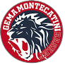 Hold Gema Montecatini. Opstilling Basketball