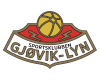 SK Gjovik-Lyn Football Team