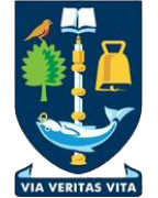 Equipo Universidad de Glasgow. Composición De Football