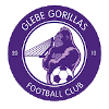 Glebe Gorillas FC – Football Team