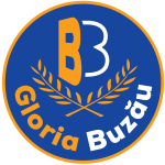 Equipo Gloria Buzau. Composición De Football
