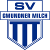 Gmunden Football Team