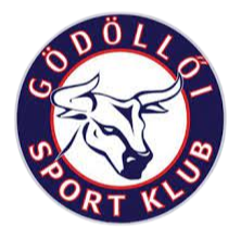 Equipo Godollo. Composición De Football