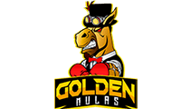 Equipo Golden Mulas. Composición De Dota 2