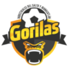 Gorilas de Juanacatlán – Football Team