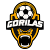 Gorilas de Juanacatlan II – Football