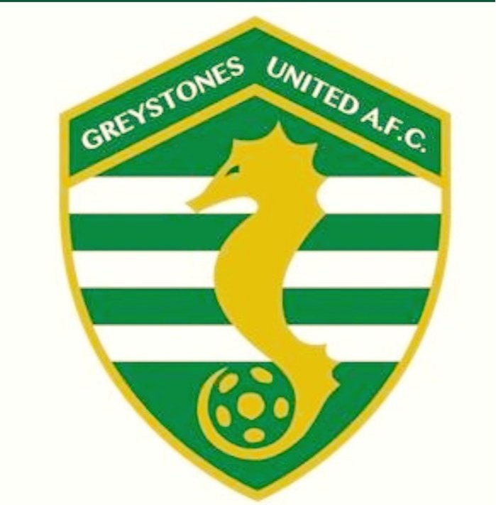 Greystones – Football Team