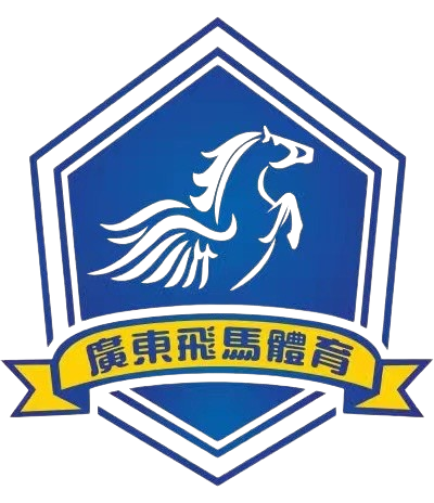 Guangdong Feima – Football Team