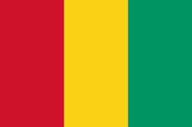 Equipo Guinea. Composición De Basketball