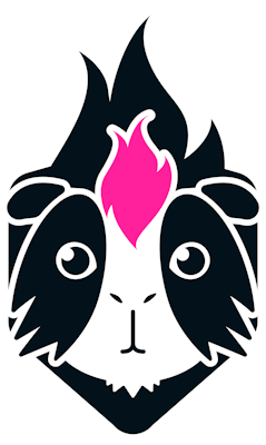 Команда Гвинея Pink. Состав LoL
