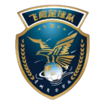 Guizhou Feiying – Football Team