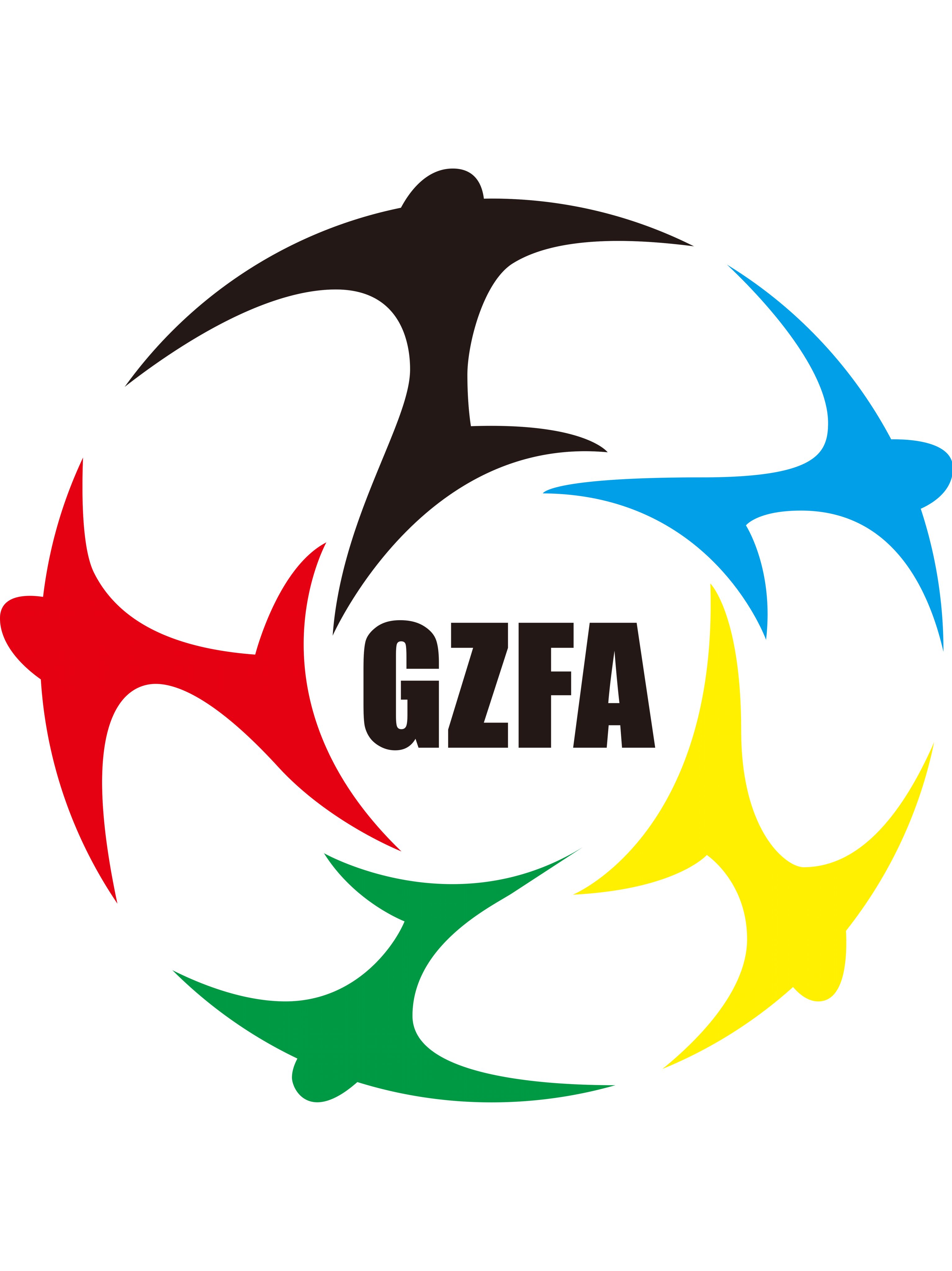 Guizhou U20 – Football Team