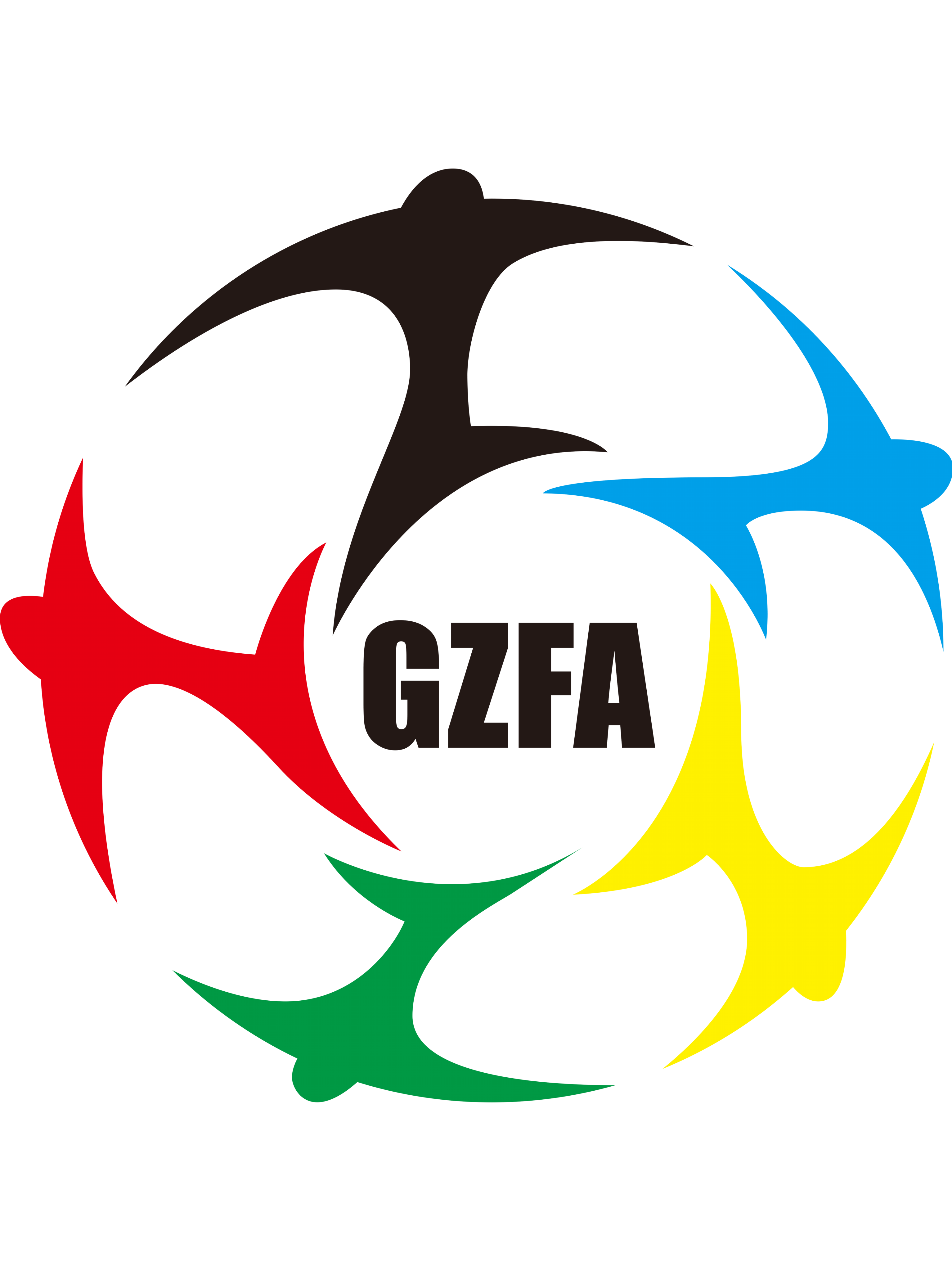 Guizhou (w) – Football Team