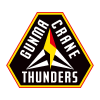 Gunma Crane Thunders – Basketball