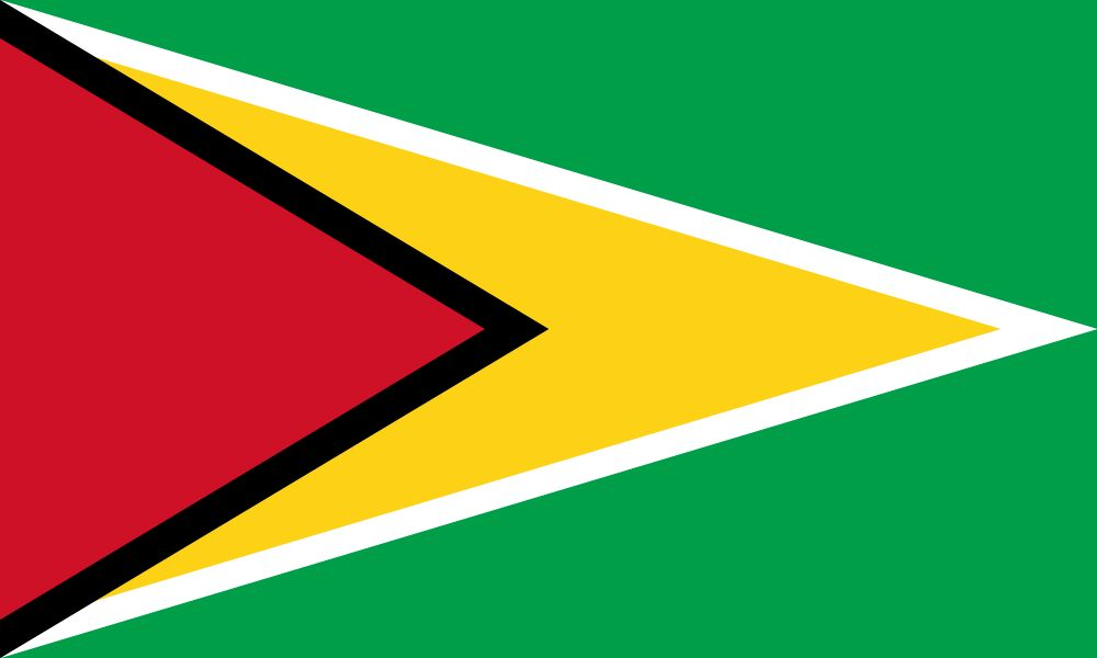 Equipo Guyana Women. Composición De Basketball
