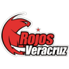 Equipo Halcones Rojos. Composición De Basketball