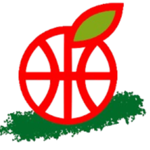 Equipo Hapoel Gilboa (f). Composición De Basketball
