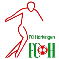 Harkingen, склад з Football