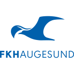 Equipo Haugesund. Composición De Football