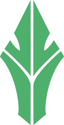 HAVU Gaming – Dota 2