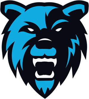 Hc eSports CS2 (CS:GO)队