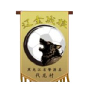 Helongjiang Liaojin Loups – Football Équipe