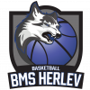 Equipo Herlev Women. Composición De Basketball