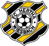Hertha Wiesbach Football Team