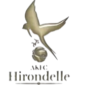 Hirondelle Kumamoto – Football Team
