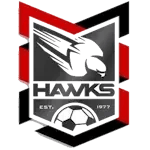 Holland Park Hawks U23 – Football Team