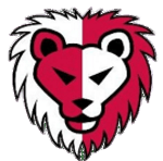 Holmlia Football Team