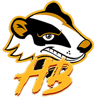 Honey Баdgers, склад з Valorant