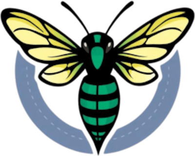 Hornets – Valorant Team