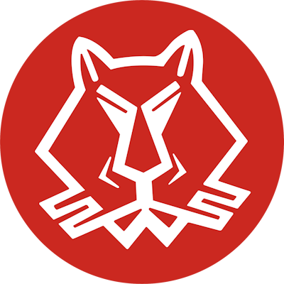 Ilves-Kissat – Football Team