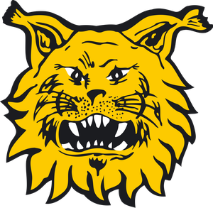 Ilves Tampere – Football Team