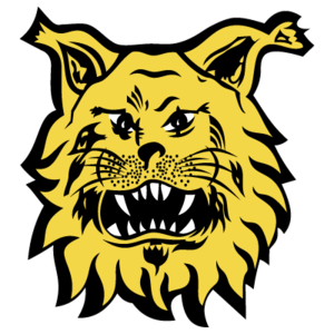 Equipo Ilves II. Composición De Football