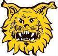 Hold Ilves (w). Opstilling Football