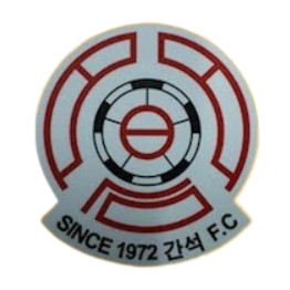 Incheon Ganseok – Football Team