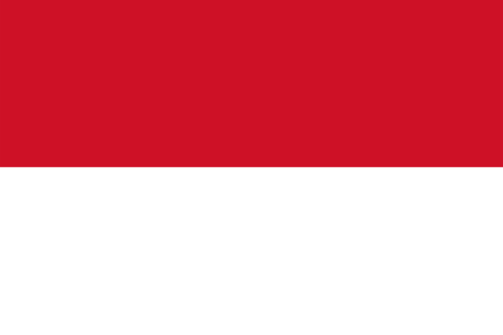Equipo Indonesia Women. Composición De Basketball