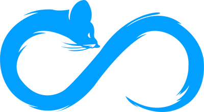 Infinity X – Valorant Team