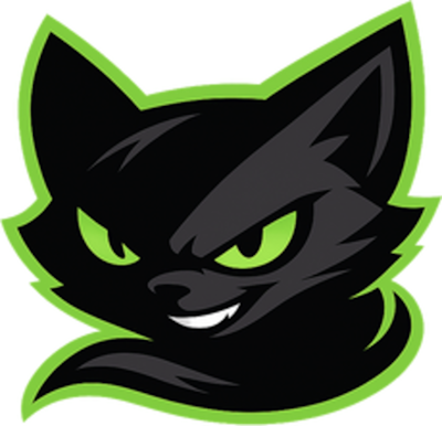 Insidious CS2 (CS:GO) Team