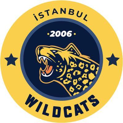 Команда Istanbul Wildcats. Состав Valorant