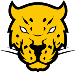 Equipo Jaguares Esports. Composición De Dota 2