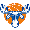 Drużyna Jamtland Basket. Skład Basketball