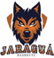Jaragua do Sul, склад з Basketball