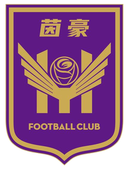 Equipo Jiangsu Suning (f). Composición De Football