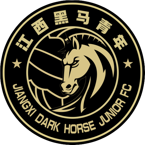 Wenzhou Professional – Football Team
